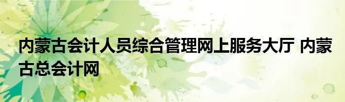 内蒙古会计人员综合管理网上服务大厅 内蒙古总会计网