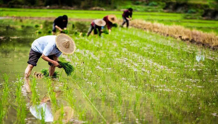 三月的英文缩写是什么