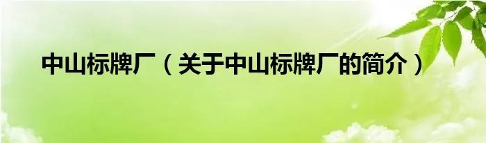 中山标牌厂（关于中山标牌厂的简介）