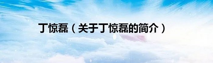 丁惊磊（关于丁惊磊的简介）
