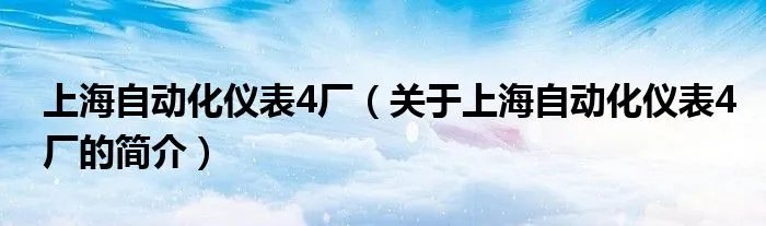 上海自动化仪表4厂（关于上海自动化仪表4厂的简介）