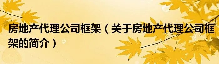 房地产代理公司框架（关于房地产代理公司框架的简介）