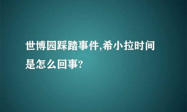 世博园踩踏事件,希小拉时间是怎么回事?