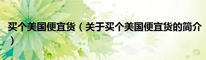 买个美国便宜货（关于买个美国便宜货的简介）