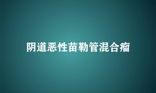 阴道恶性苗勒管混合瘤