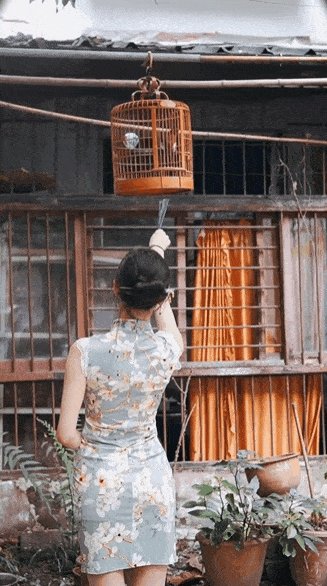 李子柒停更3月后上央视 不全是网红欣赏的动态图