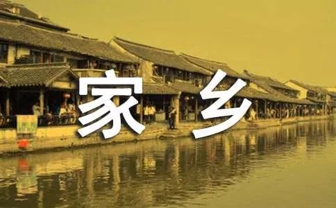 20年后的家乡作文