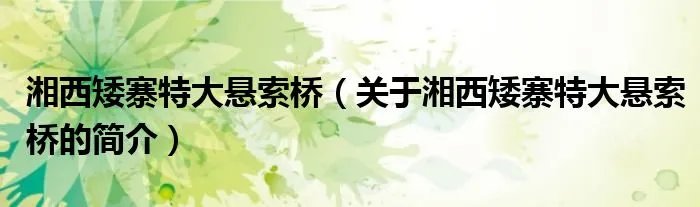 湘西矮寨特大悬索桥（关于湘西矮寨特大悬索桥的简介）
