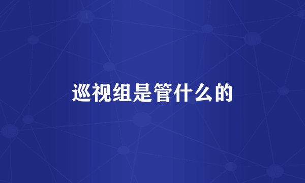 巡视组是管什么的