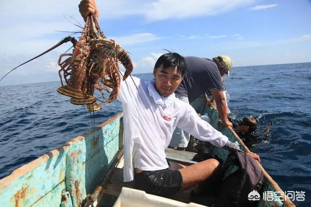 除了《游钓中国》,你还喜欢什么钓鱼类视频?