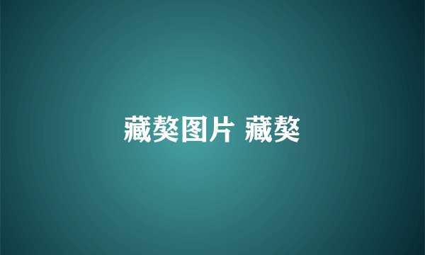藏獒图片 藏獒
