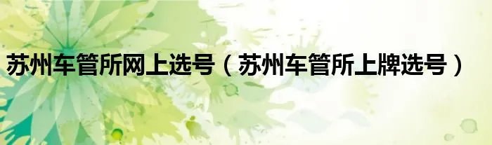 苏州车管所网上选号(苏州车管所上牌选号)