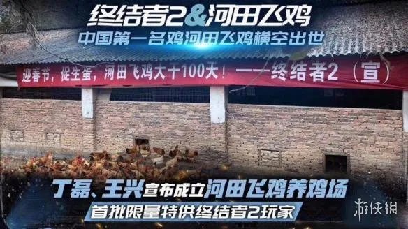 在《绝地求生》里吃鸡还不够?网曝网易成立养鸡场