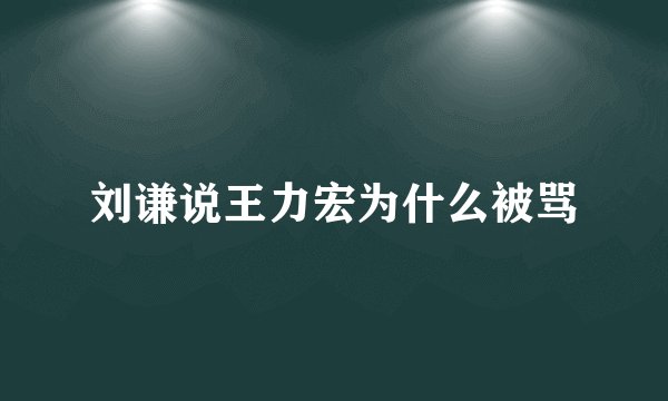 刘谦说王力宏为什么被骂