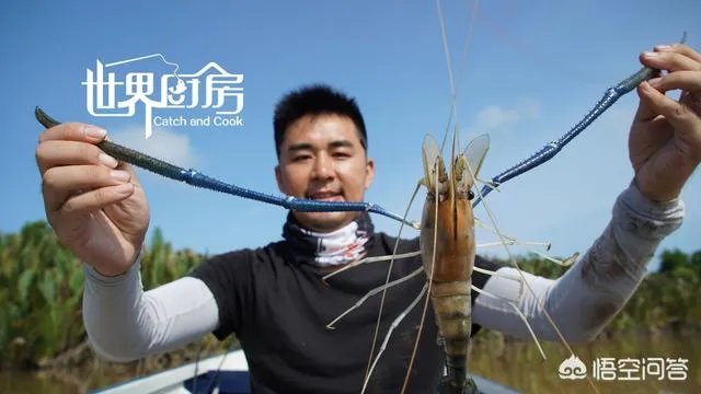 除了《游钓中国》,你还喜欢什么钓鱼类视频?