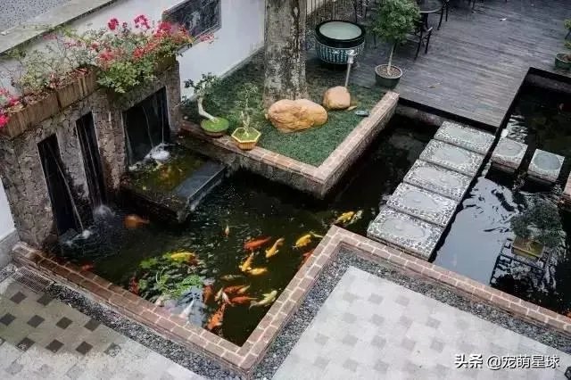 摸鱼池水深多少合适?