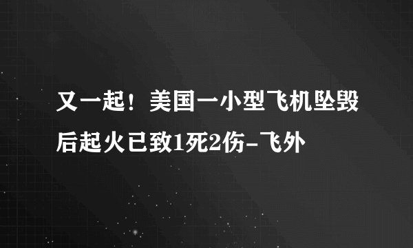 又一起！美国一小型飞机坠毁后起火已致1死2伤-飞外