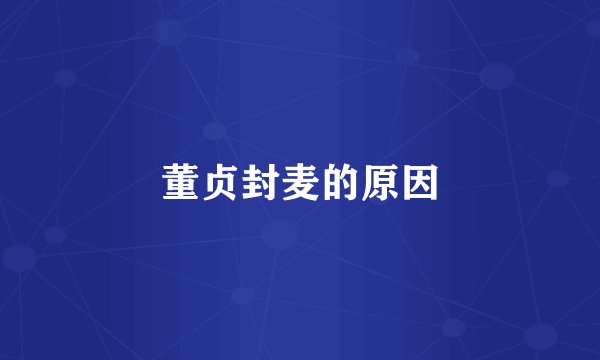 董贞封麦的原因