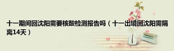 十一期间回沈阳需要核酸检测报告吗(十一出境回沈阳需隔离14天)