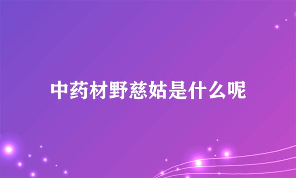 中药材野慈姑是什么呢