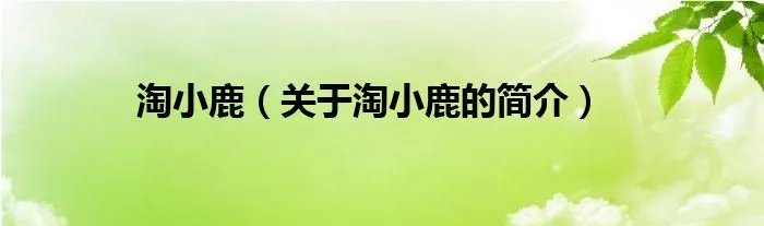 淘小鹿（关于淘小鹿的简介）