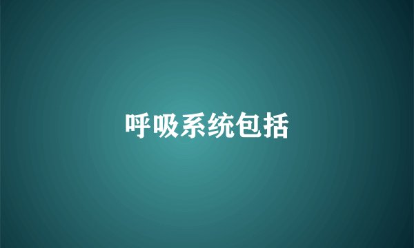 呼吸系统包括