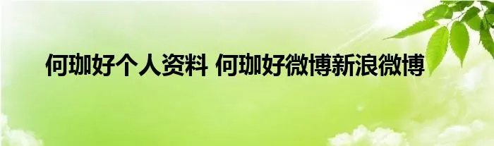 何珈好个人资料 何珈好微博新浪微博