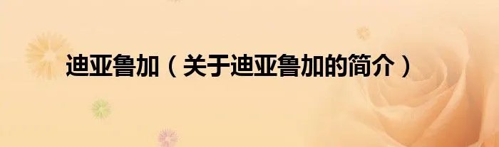 迪亚鲁加（关于迪亚鲁加的简介）