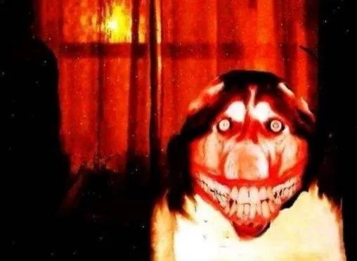 smile dog吓死多少人 微笑狗恐怖图片大全