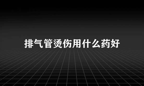 排气管烫伤用什么药好