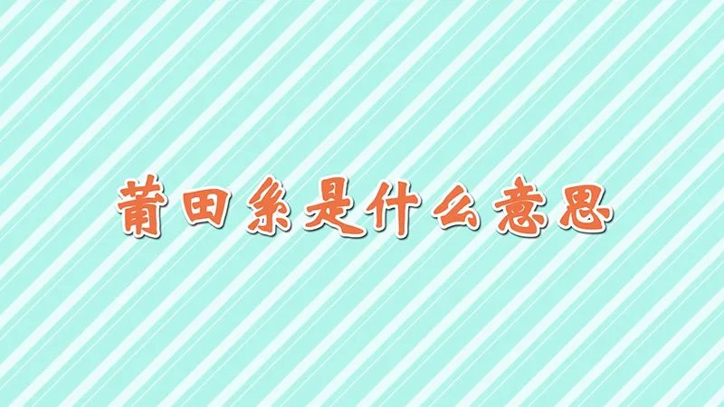 莆田系是什么意思