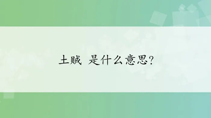 土贼 是什么意思?