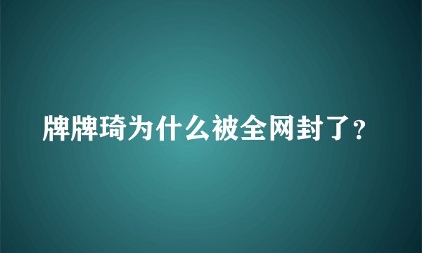 牌牌琦为什么被全网封了？