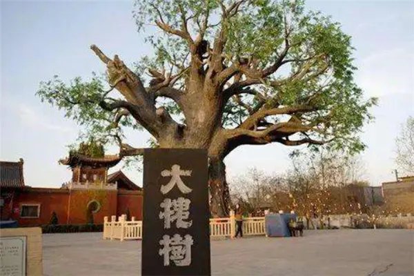 山西一日游必去的地方排行:雁门关上榜,第六是瀑布美景