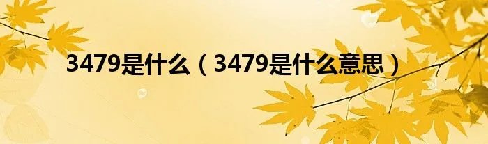 3479是什么（3479是什么意思）
