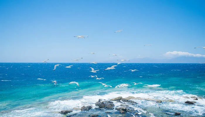 南海属于哪个省 南海属于哪个省份