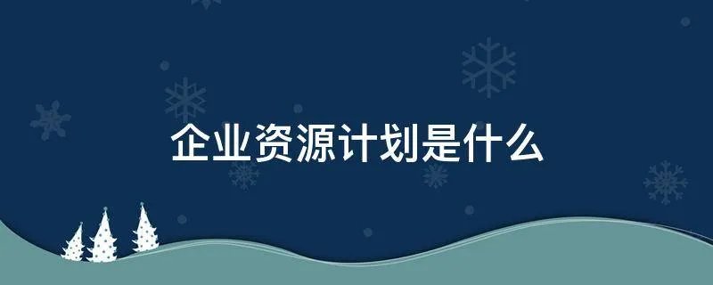 企业资源计划是什么
