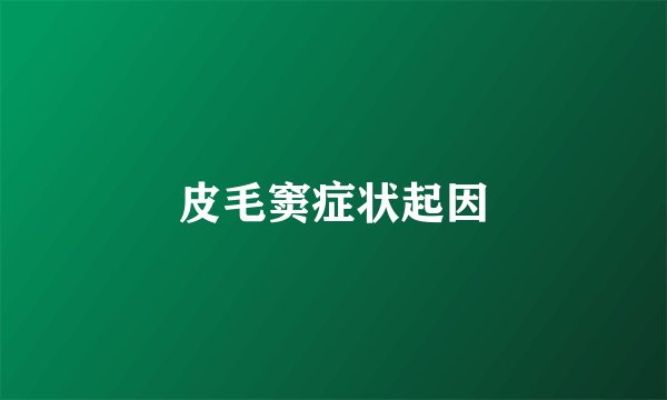 皮毛窦症状起因