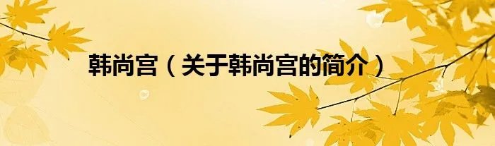 韩尚宫（关于韩尚宫的简介）