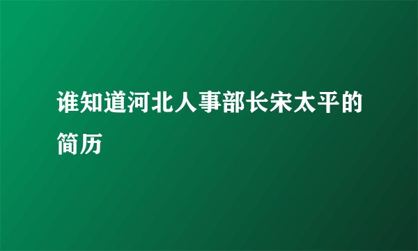 谁知道河北人事部长宋太平的简历