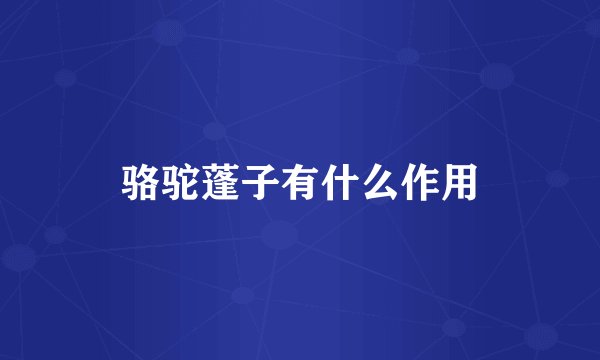 骆驼蓬子有什么作用