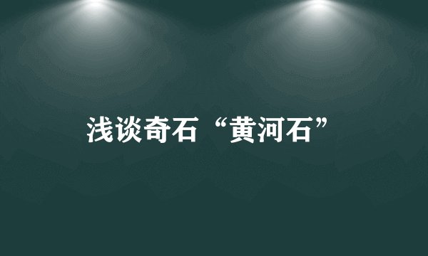浅谈奇石“黄河石”