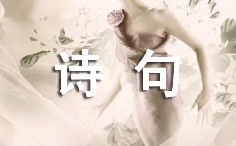 绝美诗句