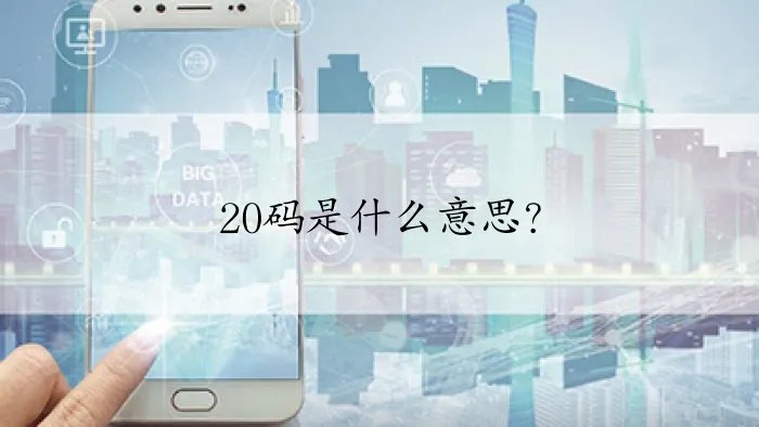 20码是什么意思？