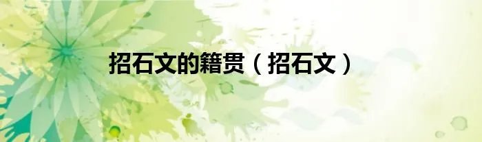 招石文的籍贯（招石文）