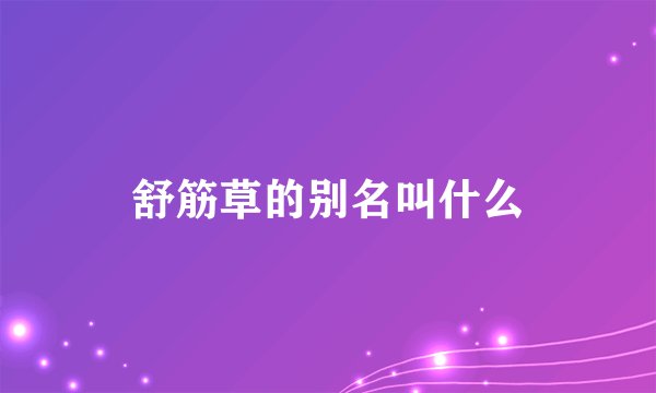 舒筋草的别名叫什么