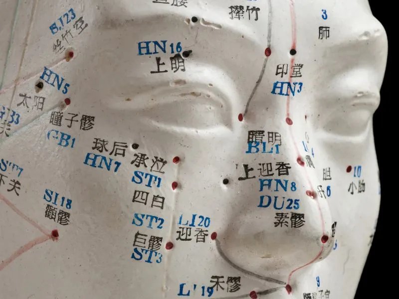 膀胱经在哪