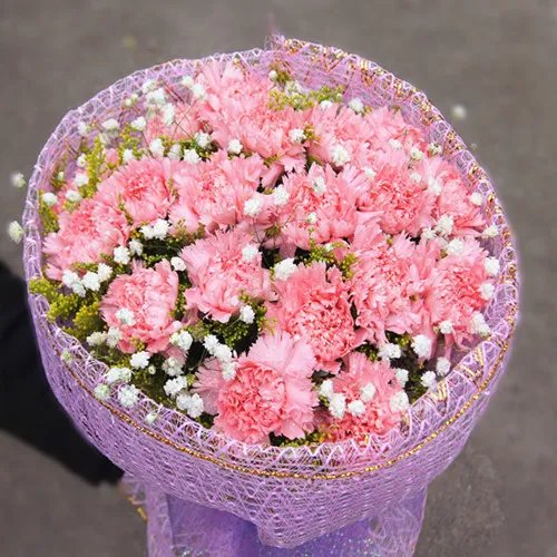 康乃馨花束图片及制作方法 如何养护康乃馨花束