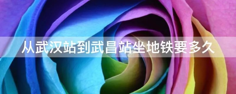 从武汉站到武昌站坐地铁要多久