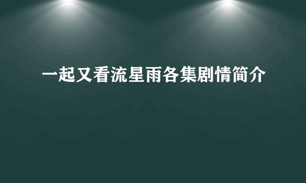 一起又看流星雨各集剧情简介